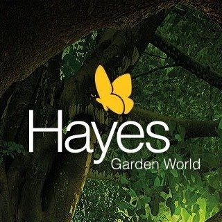 Hayes Logo